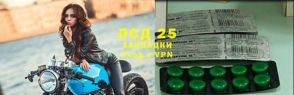 стафф Алзамай