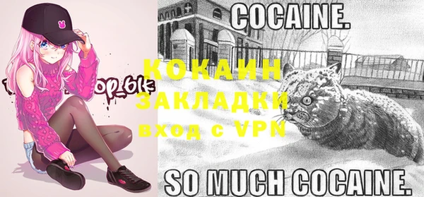 стафф Алзамай
