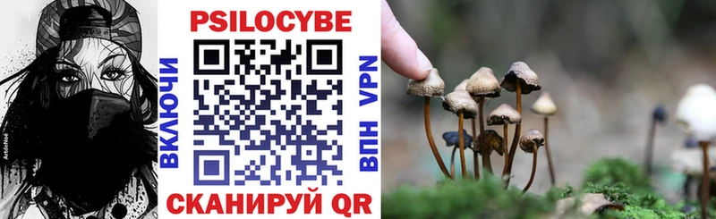 mega ссылки  Байкальск  Галлюциногенные грибы Magic Shrooms 